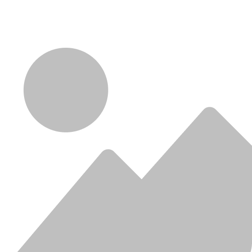 WordPress Developper